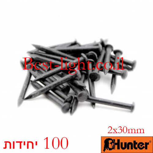 מסמרי פלדה 2x30mm אריזה 100 יחידות Hunter